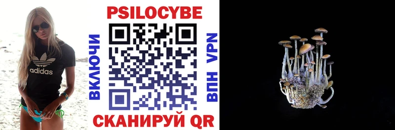 Галлюциногенные грибы MAGIC MUSHROOMS Темников